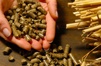 free Emmington biomass boiler quotes